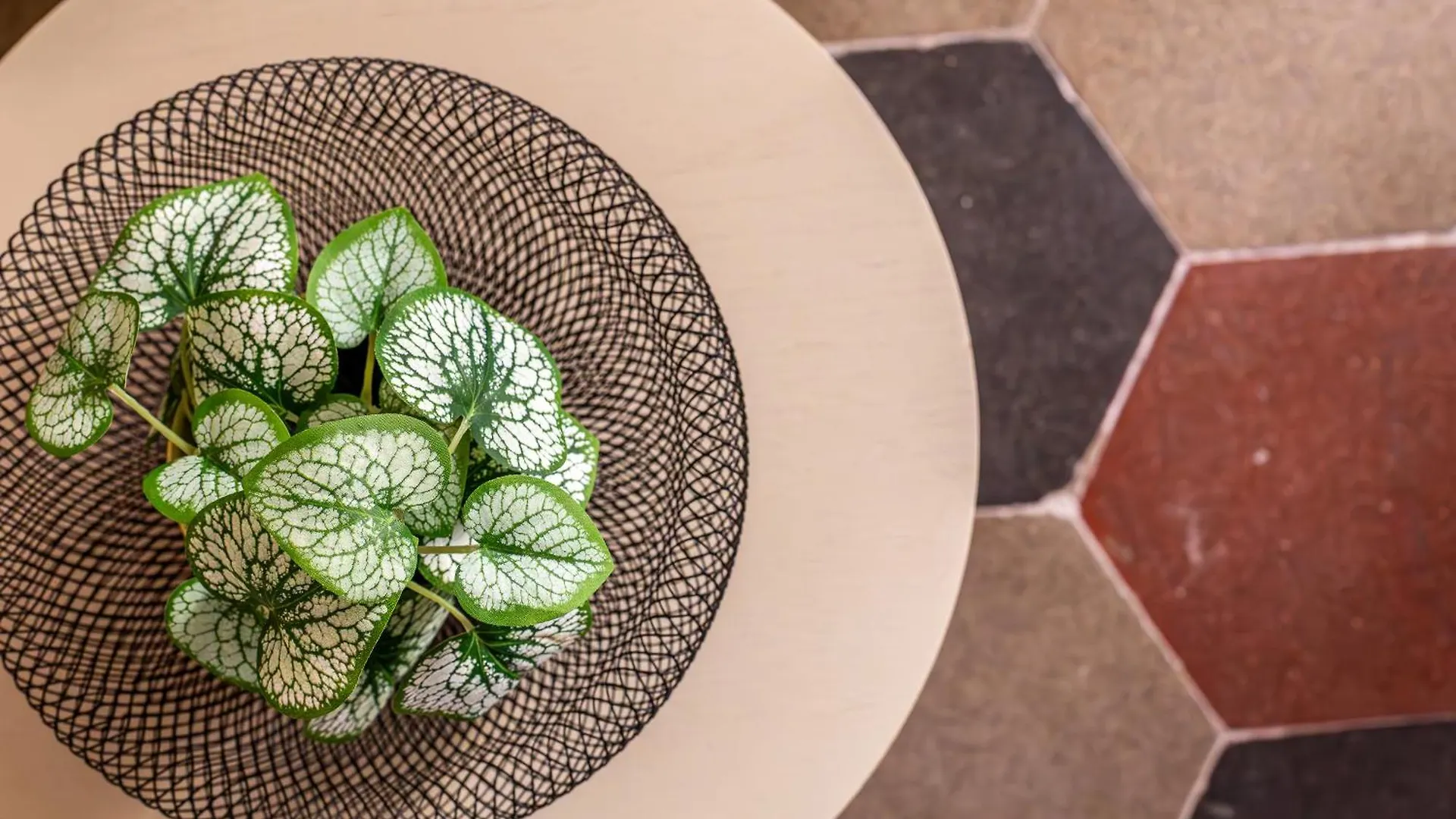 Iflat New Boutique Apartment In Rome'S Heart Itálie